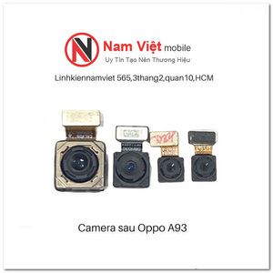 Camera sau Oppo A93