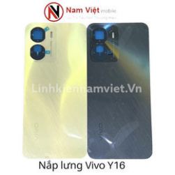Nap-lung-vivo-y16