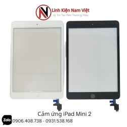 Cảm Ứng Ipad Mini 2
