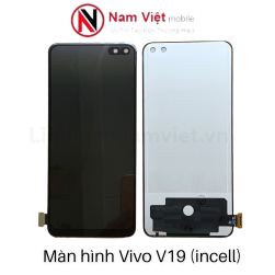 Màn hình Vivo V19 (incell)_linhkiennamviet.vn